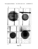 Neural Colony Forming Assay diagram and image