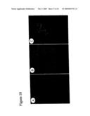 Neural Colony Forming Assay diagram and image