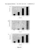 Neural Colony Forming Assay diagram and image