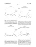 MODIFIED CARBOCYANINE DYES AND THEIR CONJUGATES diagram and image