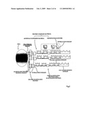 Artificial scaffolding material for protein retention and use of the same diagram and image