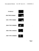 Artificial scaffolding material for protein retention and use of the same diagram and image