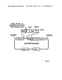 Artificial scaffolding material for protein retention and use of the same diagram and image