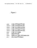 Method for producing circular or multimeric protein species in vivo or in vitro and related methods diagram and image