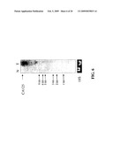 CA125 gene and its use for diagnostic and therapeutic interventions diagram and image