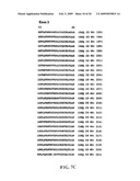 CA125 gene and its use for diagnostic and therapeutic interventions diagram and image