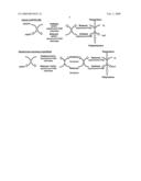 Enzymatic process for the preparation of paliperidone and its intermediate CMHTP diagram and image