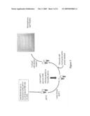 RAPID PROTEIN LABELING AND ANALYSIS diagram and image