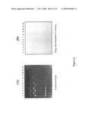 RAPID PROTEIN LABELING AND ANALYSIS diagram and image