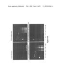 RAPID PROTEIN LABELING AND ANALYSIS diagram and image