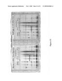 RAPID PROTEIN LABELING AND ANALYSIS diagram and image