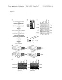 Use of Novel HNF4a Target Genes and Their Gene Products diagram and image