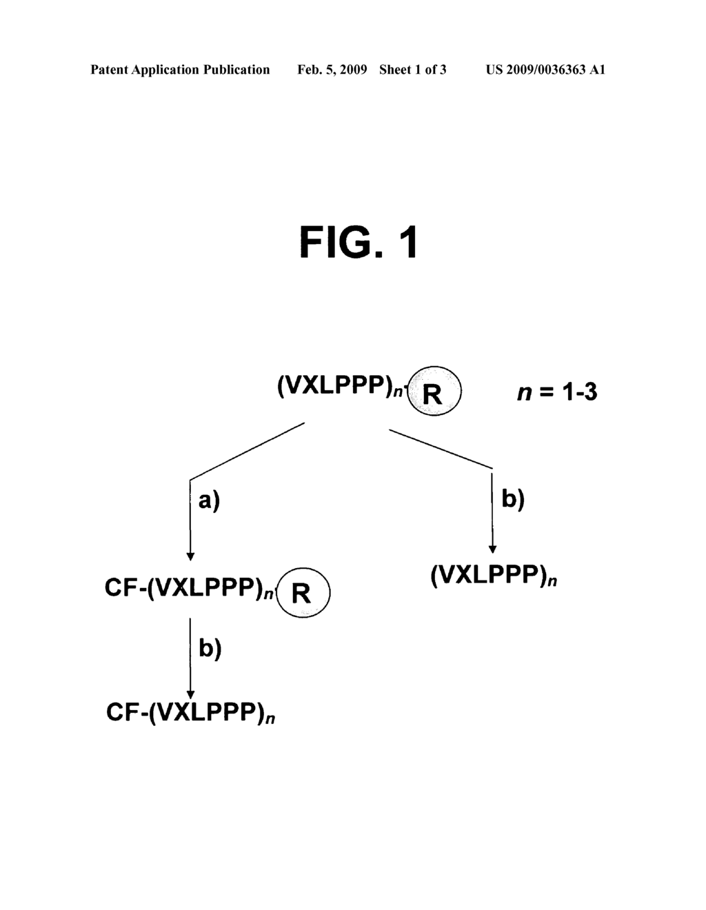 Peptides as cell penetrating carriers - diagram, schematic, and image 02