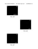 Compositions useful for and methods of modulating angiogenesis diagram and image