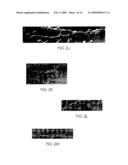 Compositions useful for and methods of modulating angiogenesis diagram and image