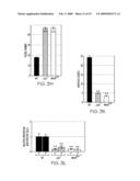 Compositions useful for and methods of modulating angiogenesis diagram and image