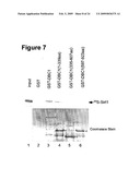 DBC1, a novel native inhibitor of anti-aging protein SIRT1 diagram and image