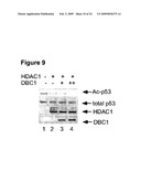 DBC1, a novel native inhibitor of anti-aging protein SIRT1 diagram and image