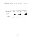 Use of Factor VIIa or a Tissue Factor Antagonist for Regulating Gene Expression and Cell Migration or Chemotaxis diagram and image