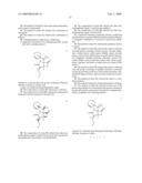 COMPOSITIONS AND METHODS FOR TREATING NEOPLASTIC DISEASES diagram and image