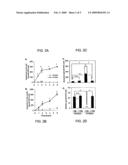 Vesicular monoamine transporter gene therapy in Parkinson s disease diagram and image