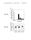 Vesicular monoamine transporter gene therapy in Parkinson s disease diagram and image