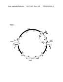 GRP 146 Receptor diagram and image