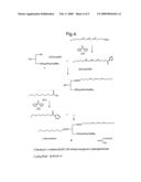 Structured Phospholipids diagram and image