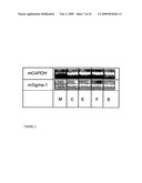 Treatment Of Posterior Capsule Opacification diagram and image