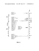 Method Of Synthesizing S-Allyl-Cysteine Analogues And Their Therapeutic Application In Treating Myocardial Infarction diagram and image