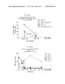 Guanylhydrazones in Methods of Treatment or Diagnosis as Modulators of Signal Transduction diagram and image