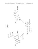 DENDRITIC ENCAPSULATION OF ACTIVE AGENTS diagram and image