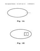 Amphiphilic Polymer, Method for Forming the Same and Application thereof diagram and image