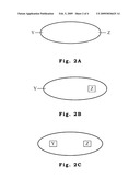 Amphiphilic Polymer, Method for Forming the Same and Application thereof diagram and image