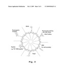 Amphiphilic Polymer, Method for Forming the Same and Application thereof diagram and image