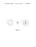 Amphiphilic Polymer, Method for Forming the Same and Application thereof diagram and image