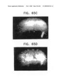 Noninvasive measurement of chemical substances diagram and image