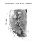 Noninvasive measurement of chemical substances diagram and image