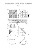 Neuronal Avalanche Assay diagram and image