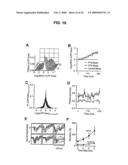 Neuronal Avalanche Assay diagram and image