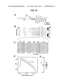 Neuronal Avalanche Assay diagram and image