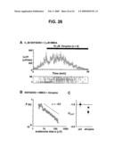 Neuronal Avalanche Assay diagram and image