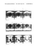 Anthroprometrically expandable tampon pledget diagram and image