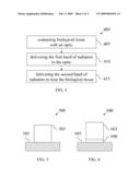 DEVICE AND METHOD FOR TREATMENT OF ORGANIC TISSUE diagram and image