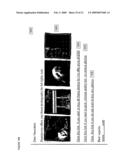 User Interface for a Portable, Image-Processing Transmitter diagram and image