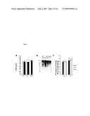 IGF-1 Novel peptides diagram and image