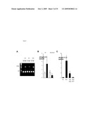 IGF-1 Novel peptides diagram and image