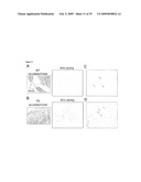 IGF-1 Novel peptides diagram and image