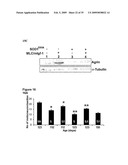 IGF-1 Novel peptides diagram and image