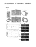 IGF-1 Novel peptides diagram and image